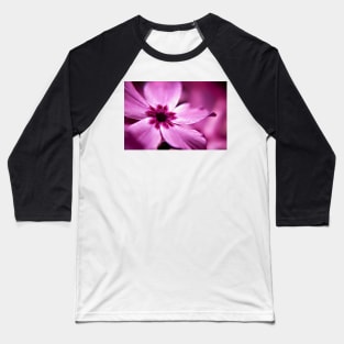 Pink Dwarf Phlox flower Baseball T-Shirt